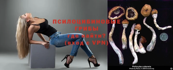 дмт Арсеньев