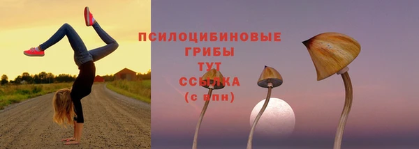 экстази Армянск