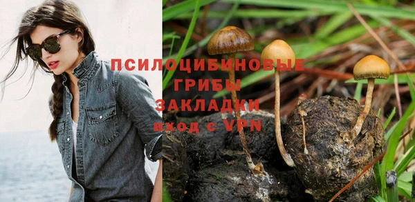 дмт Арсеньев