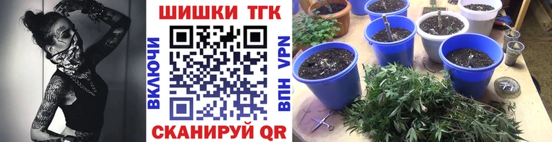 Бошки марихуана THC 21% Усть-Лабинск